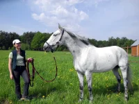 DSCN4732.webp