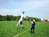 DSCN4735.webp