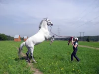 DSCN4738.webp