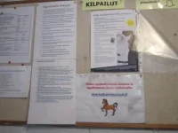котка 4.webp