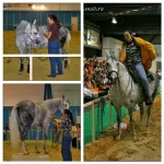 Olmek PicsArt_1369055489127.webp