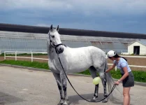 DSCN4898.webp