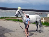 DSCN4896.webp