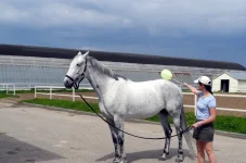 DSCN4897.webp