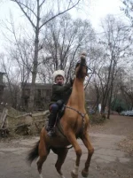 x_d2cb70d5.webp