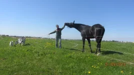image.webp