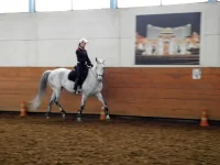 DSCN4911.webp