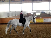 DSCN4931.webp