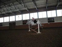 DSCN5033.webp