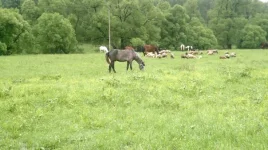 wy8pbAY7ySc.webp