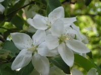 DSCN0484.webp