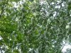 DSCN0483.JPG