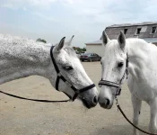 DSCN4810.webp