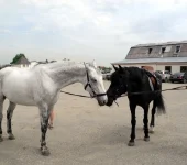 DSCN4821.webp