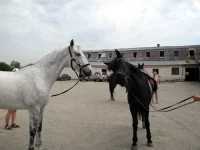 DSCN4828.webp