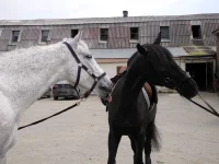DSCN4837.webp