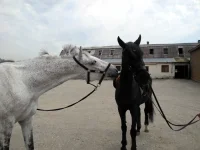 DSCN4847.webp
