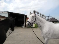 DSCN4856.webp