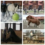 Наталья Р .webp