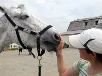 DSCN4891.webp