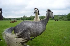 hwF5hKqJiis.webp