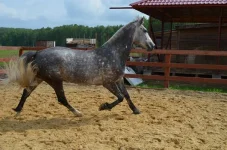 0815fogLczc.webp