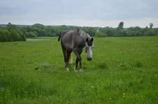 7CJslQSbbAs.webp