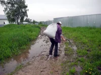 DSCN5227.webp