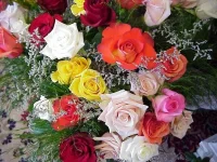 wt2-Vn_7vA4.webp