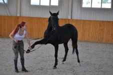 photo11.webp