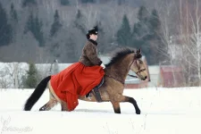 12.webp