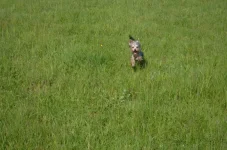 OVMHqHpJxeE.webp