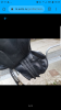 Screenshot_20200112-150944.png