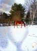 20200214_140227-01.jpeg
