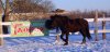 DSC_2984.JPG
