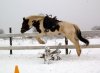 DSC_4293.JPG