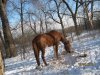 IMG_4957м.jpg IMG_4957м.jpg