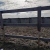 IMG_20200324_170121_850.jpg