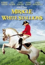 miracle.webp