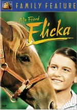 my_friend_flicka.webp