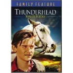 thunderhead.webp