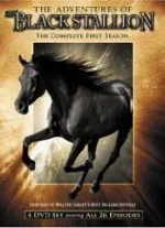 adventures_of_the_black_stallion.webp