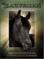 adventures_of_the_black_stallion2.webp