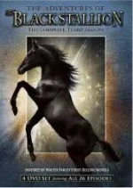adventures_of_the_black_stallion3.webp