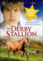 derby_stallion.webp