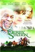 derby_stallion2.webp