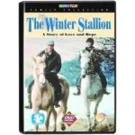 the_winter_stallion.webp