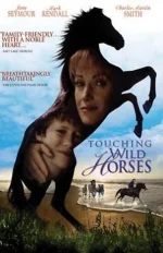 touching_wild_horses.webp
