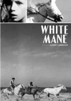 white_mane.webp