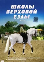 3.webp